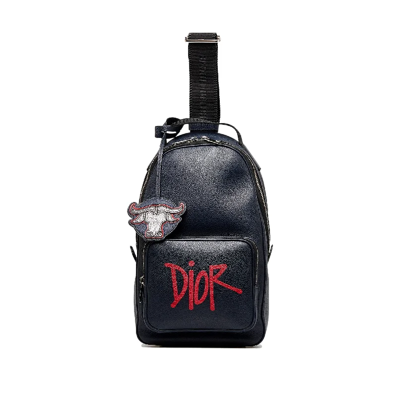 Blue Dior x Shawn Stussy Year of the Ox Sling Backpack