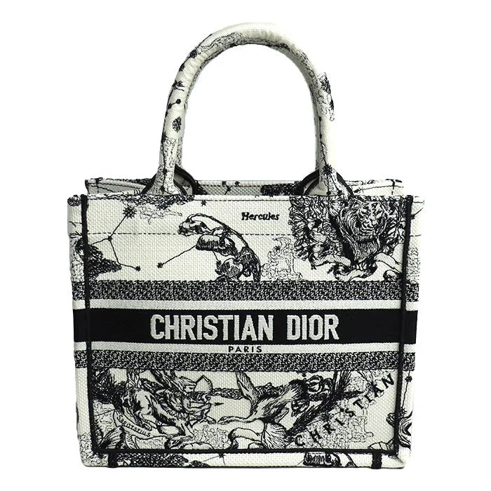 Dior Book Tote Small Canvas Bag